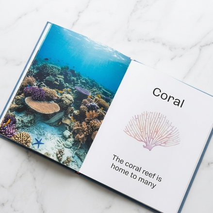 Ocean — A Luxury Children’s Coffee Table Book